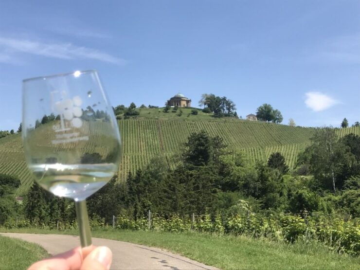 Stuttgart: 2-Hour Vineyard Hike With Tastings - Experience Highlights