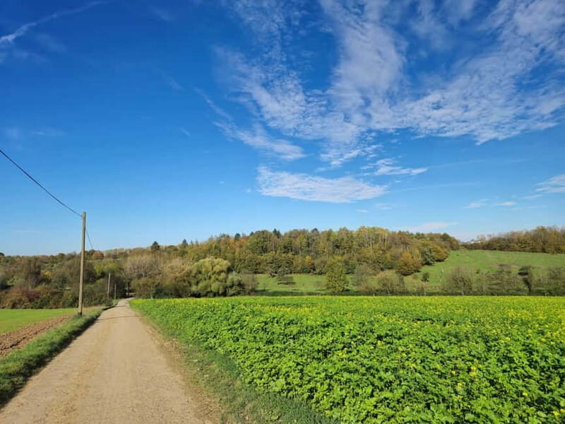 Stuttgart: Boßeltour with guide - What is a Boßeltour?