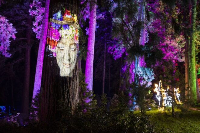 Stuttgart: Christmas Garden at the Wilhelma Zoo - Selecting Participants and Date