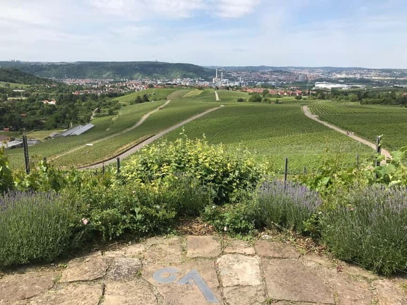 Stuttgart: E-bike wine tour including tasting - Exploring Stuttgart’s Vineyards on an E-bike: A Truly Enjoyable Experience