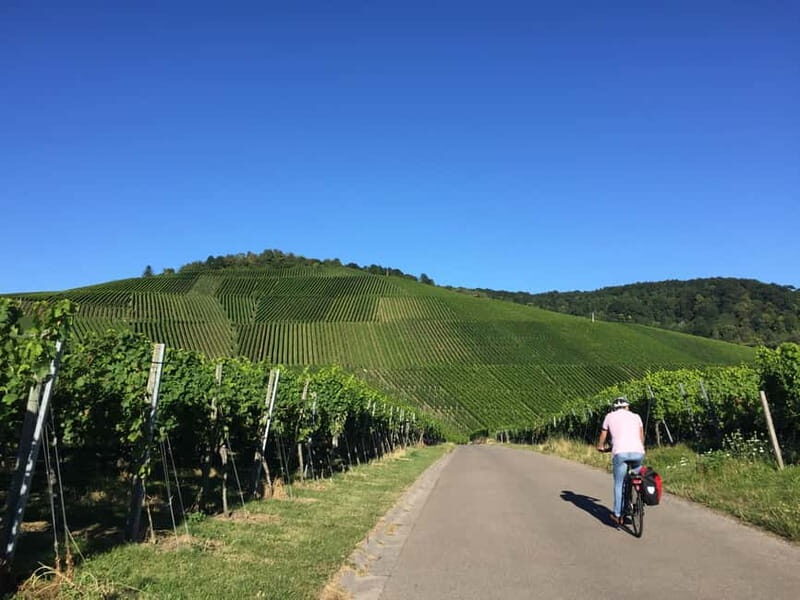 Stuttgart: E-bike wine tour including tasting - Good To Know