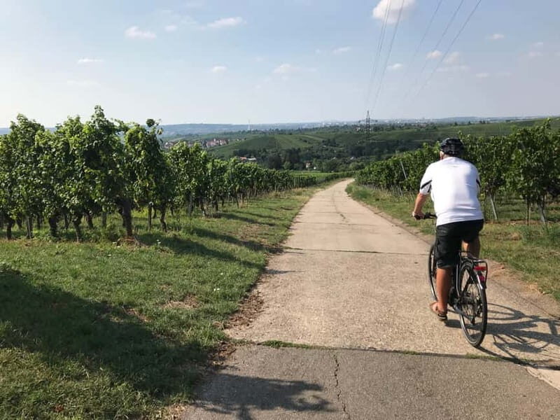 Stuttgart: E-bike wine tour including tasting - The Sum Up