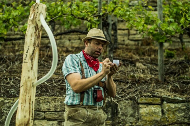 Stuttgart: Guided Vineyards Tour - Introduction