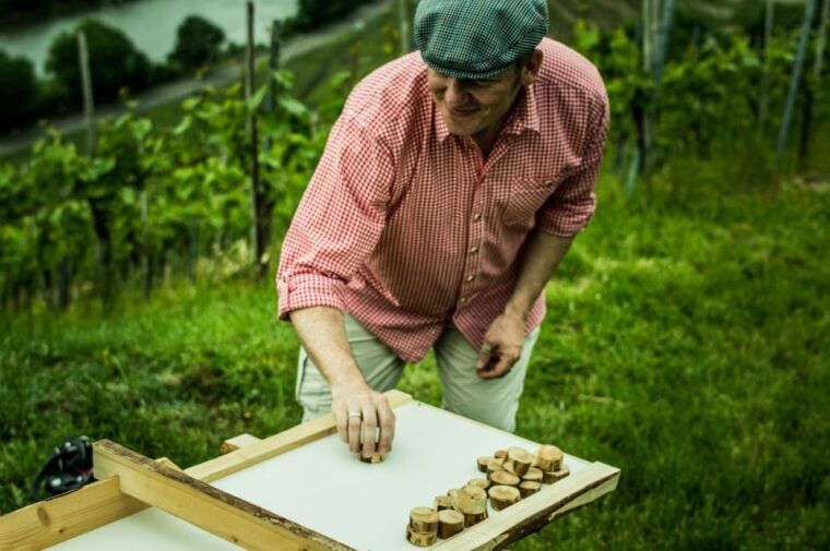 Stuttgart: Guided Vineyards Tour - The Sum Up