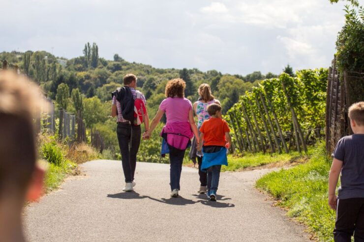 Stuttgart Nature Experience Day - Activity Details and Booking Options