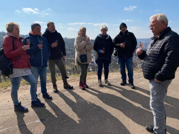 Stuttgart: Sparkling Wine Tour - Experience Highlights and Description