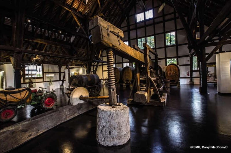 Stuttgart: Taster tour of the Wine Museum incl. 0.1 l wine - Exploring the Stuttgart Wine Museum: What’s in Store