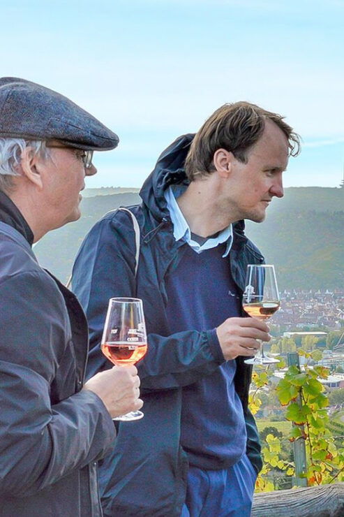 Stuttgart: Wine Hike With Wine Tasting - Key Points