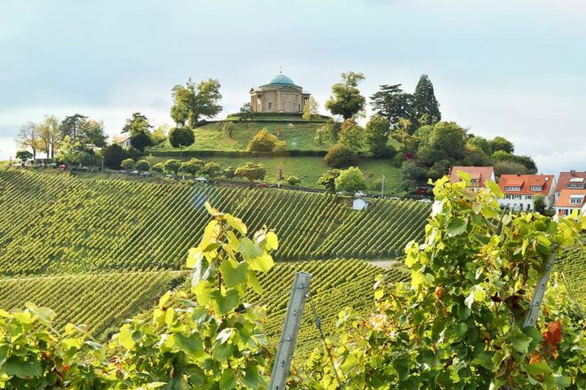 Stuttgart: Wine Hike With Wine Tasting - What to Expect on the Hike