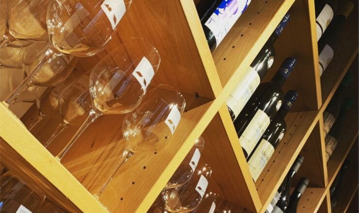Stuttgart: Wine Museum Ticket - Experience