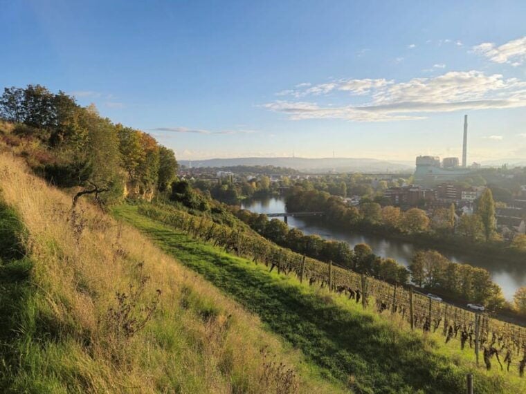 Stuttgart: Wine & Tapas Boat Tour on the Neckar - Practical Information and Tips