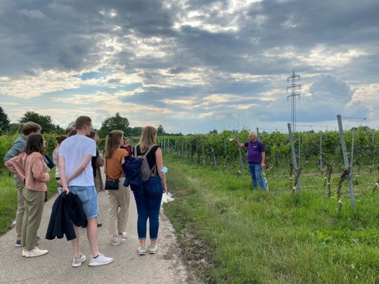 Stuttgart: Wine Tour With Wines of the Best Winemakers - Experience Highlights