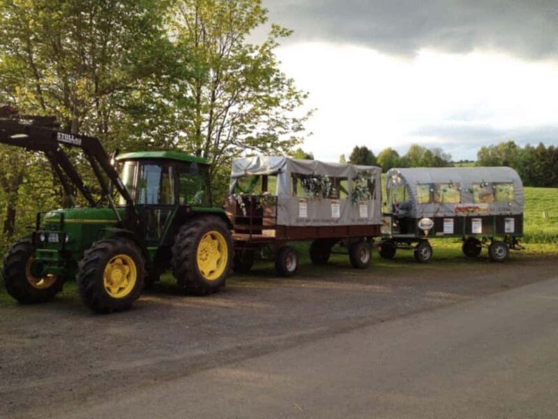 Stuttgart: Winter sleigh covered wagon tour - Good To Know