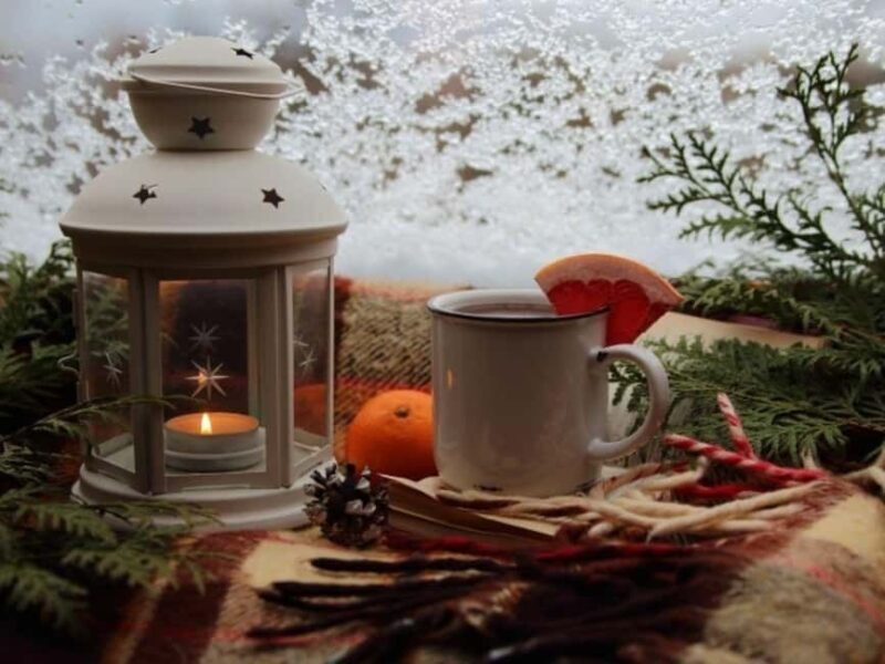 Stuttgart: Winter sleigh covered wagon tour - What to Expect from the Stuttgart Winter Sleigh Covered Wagon Tour