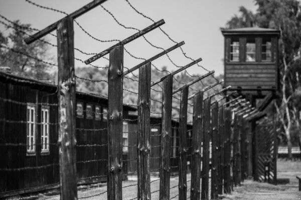 Stutthof Concentration Camp Half-Day Private Tour - Learn About Pomeranias Persecution