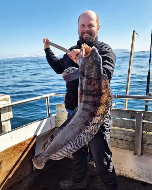 Stykkishólmur: Sea Angling Tour with Local Guide - An In-Depth Look at the Experience
