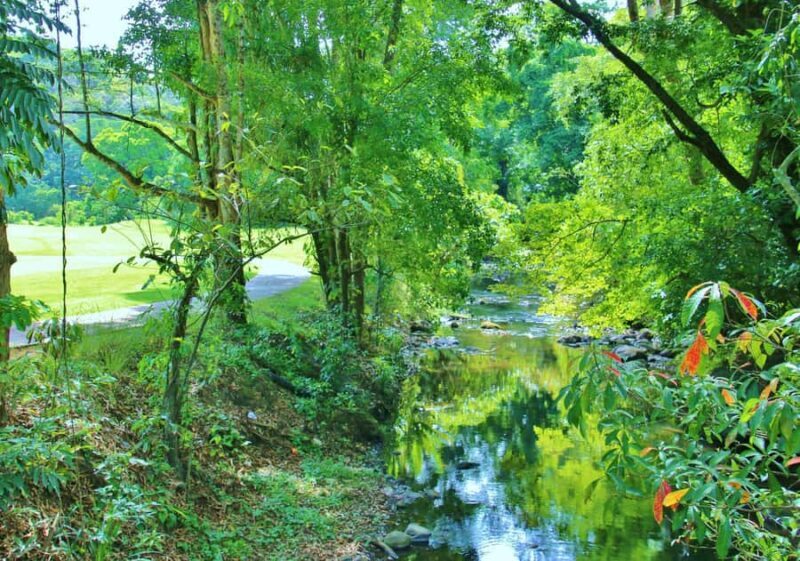 Subic: Day Golf Entry - Good To Know