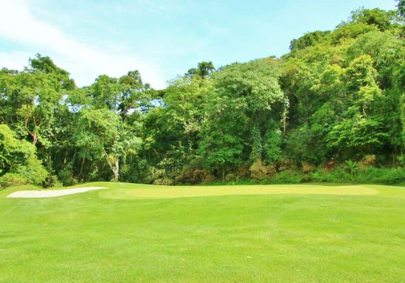 Subic: Day Golf Entry - An In-Depth Look at the Golf Experience at Subic International Golf Club