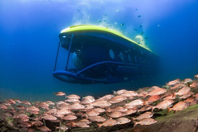 SUBMARINE ADVENTURE - Submarine Excursion in Puerto de Mogán - Good To Know