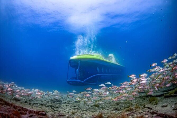 SUBMARINE ADVENTURE - Submarine Excursion in Puerto de Mogán - What Is the Submarine Tour Really Like?