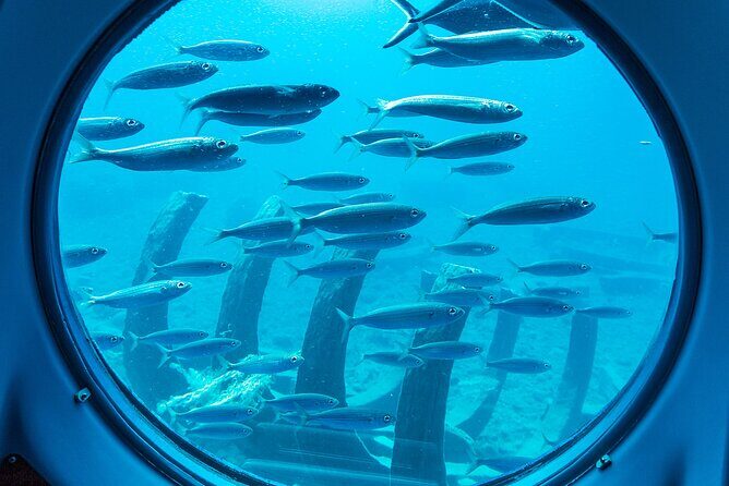 SUBMARINE ADVENTURE - Submarine Excursion in Puerto de Mogán - FAQ