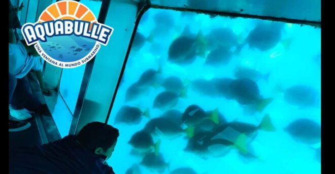 Submarine: Aquabulle Los Cabos - Boat and Amenities
