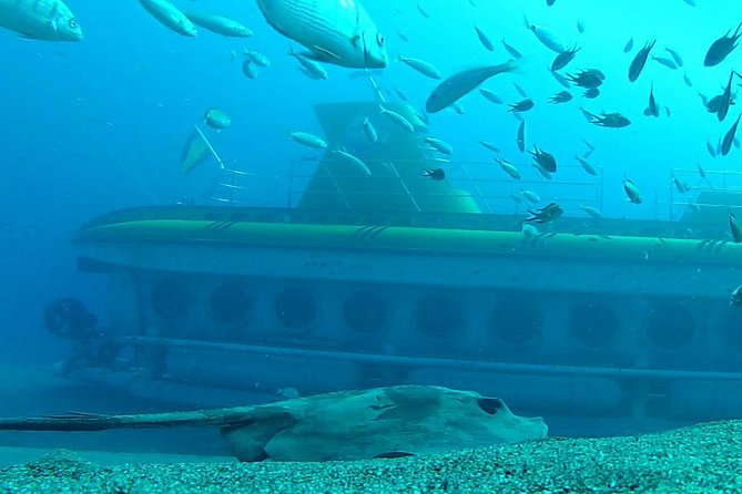Submarine Safaris Lanzarote - Overview of the Experience