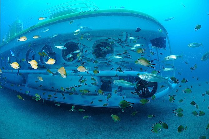 Submarine Safaris Lanzarote - Common Questions