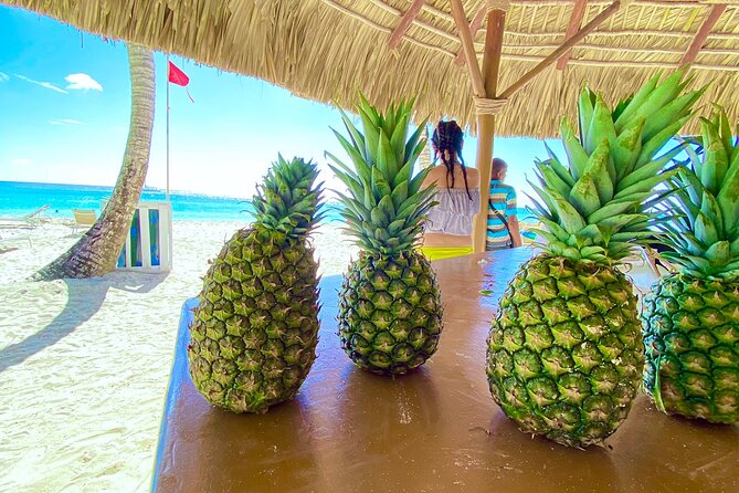 Submarine Tour to Saona Island & Natural Pool - Inclusions and Services