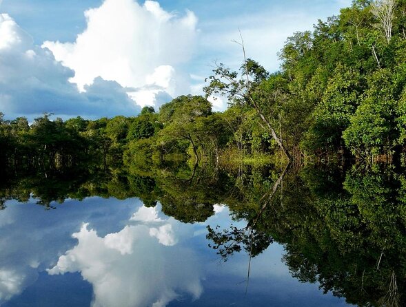 Sucuri River Snorkel Tour - Tour Highlights
