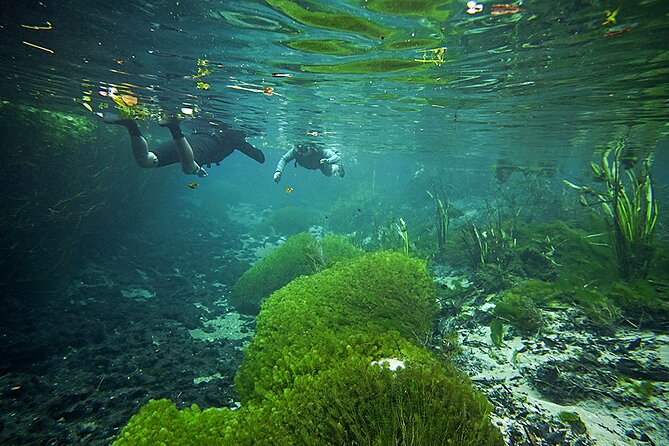Sucuri River Snorkel Tour - Snorkeling Gear Provided