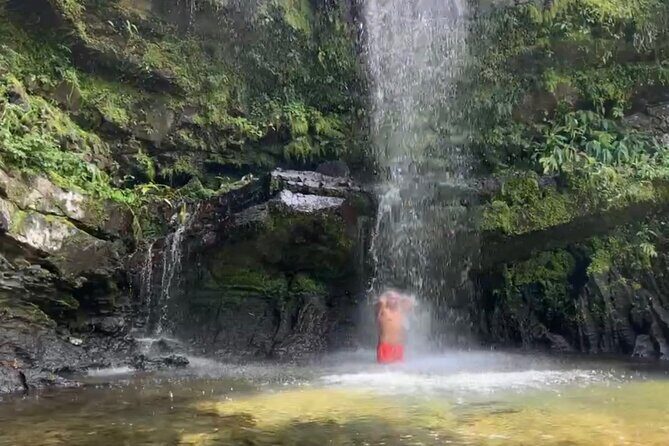 Sueños de Cafe - A Coffee Lovers Dream - What We Think About the Value