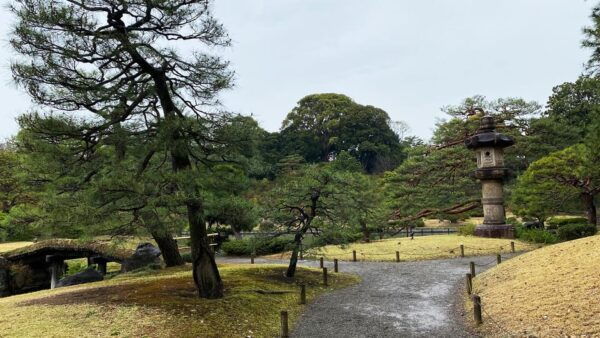 Sugamo Adventure: Enchanting Picnic at Rikugien Garden! - Tips for a Perfect Picnic