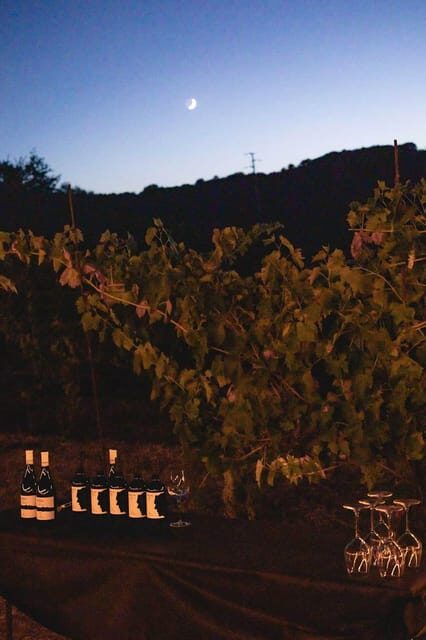 Sugano: Goblets at Sunset Experience - An Overview of Sugano’s Sunset Wine Experience