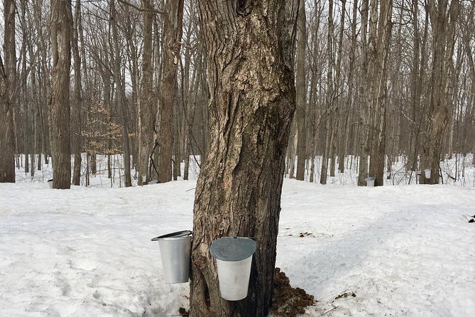 Sugar Shack (Feb to May) Maple Syrup Private Day Tour With Lunch From Montreal - Tour Details