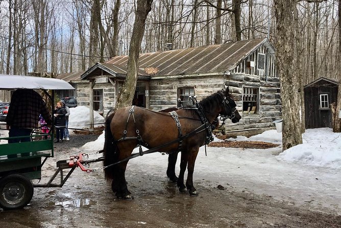 Sugar Shack (Feb to May) Maple Syrup Private Day Tour With Lunch From Montreal - Cancellation Policy