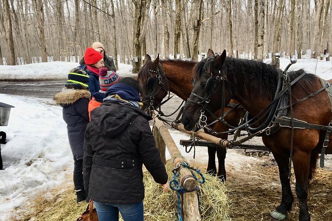 Sugar Shack (Feb to May) Maple Syrup Private Day Tour With Lunch From Montreal - Common Questions