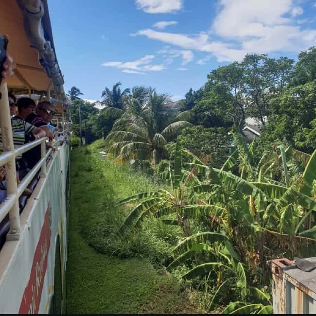 Sugar Train Tour & Drinks|Pick-Up &Drop Off From Cruise Port - What Is the Sugar Train Tour & Drinks?