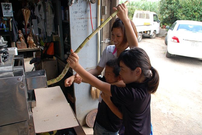 Sugarcane Cutting Experience With Okinawas Grandfather - Background