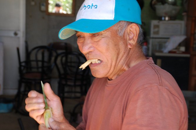 Sugarcane Cutting Experience With Okinawas Grandfather - Group 1: Experience Details