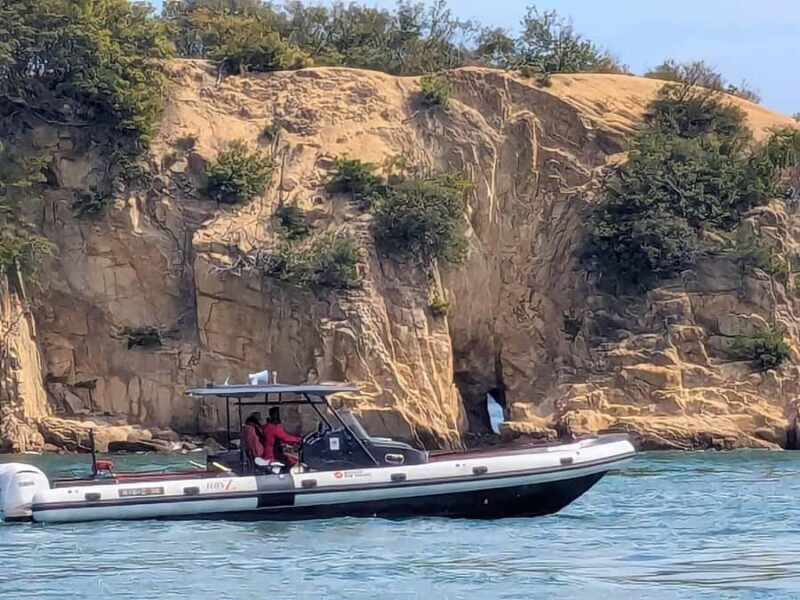 Suigun Rib Tours - The Reviews: Authentic Insights