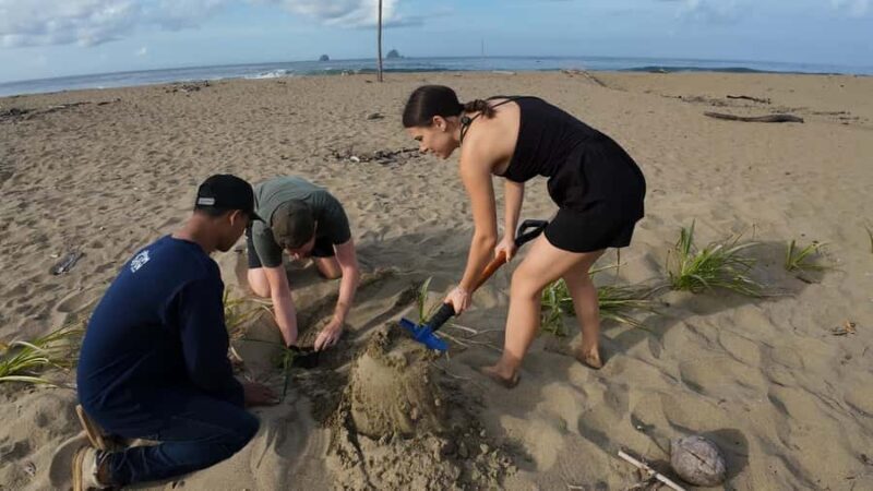 Sukamade Observation Turtle Tour - Good To Know