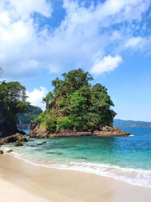 Sukamade Turtle Beach Adventure  Into East Java - Helping Hatchlings into the Ocean