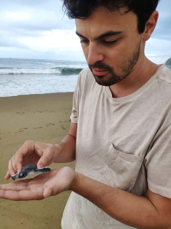 Sukamade Turtle Beach Adventure  Into East Java - Transportation & Group Size