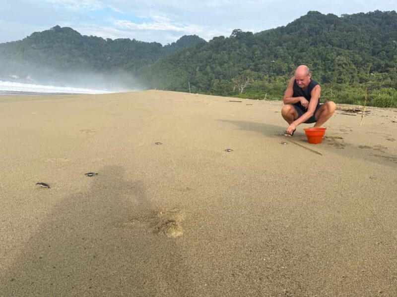 Sukamade: Turtle Expedition & MeruBetiri Jungle Adventure - Starting Point and Transport: Entering Java’s Wilderness