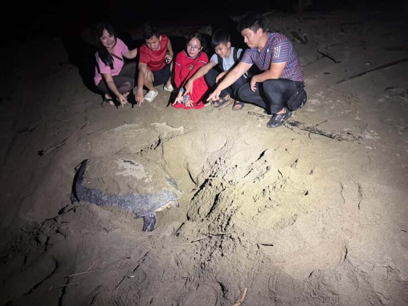 Sukamade: Turtle Expedition & MeruBetiri Jungle Adventure - Practical Details & What To Know