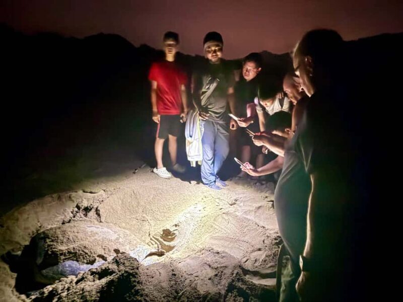 Sukamade: Turtle Expedition & MeruBetiri Jungle Adventure - Who Is This Tour Best For?