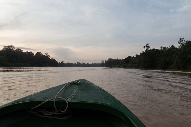 Sukau Rainforest Wildlife and Dawn Cruises Tour in Sandakan - Who Should Book This Tour?