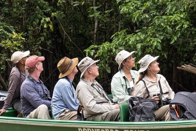Sukau Rainforest Wildlife and Dawn Cruises Tour in Sandakan - Final Thoughts