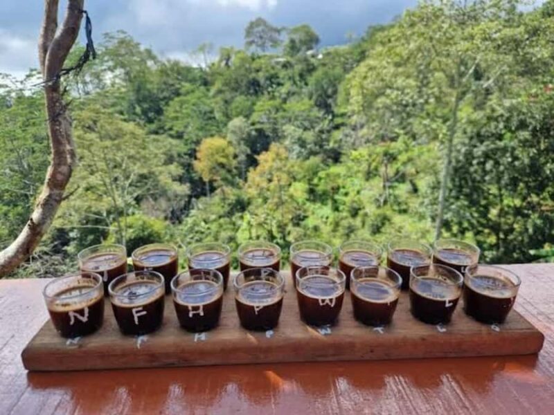 Sukawana Sunrise with Floating Temple & Kintamani Cafe Tour - Optional Visit to a Balinese Coffee Plantation